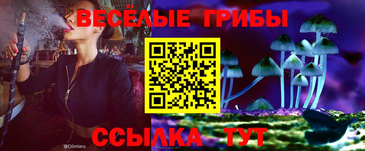 Фрязино  Псилоцибиновые грибы Psilocybe  Вход с VPN 